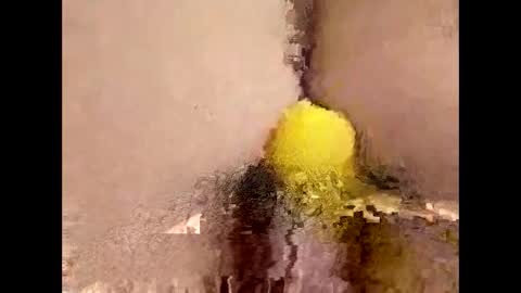 You can call me Amy Ray or Maggie May online show from 04-16-26, 09:15