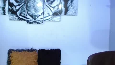 Analia online show from 02-01-25, 02:02