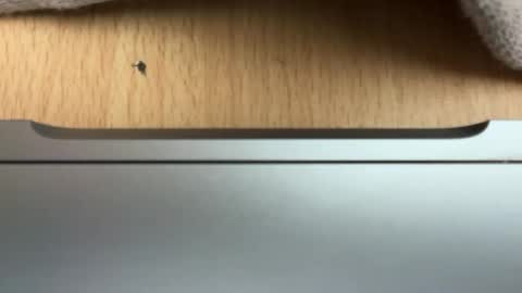analloverextreme online show from 05-08-26, 08:25