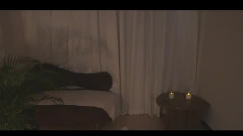 Ann online show from 04-10-26, 07:18