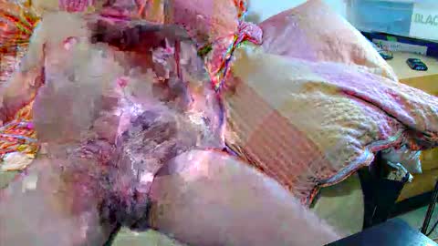 Andi online show from 11-20-25, 04:34