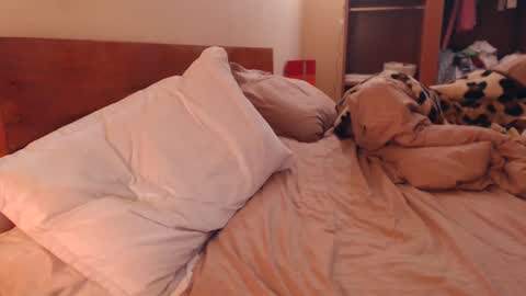 Snapshot of andrasweetie chatting on 02-06-25, 03:27 Andra online show from 02-06-25, 03:27