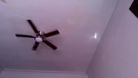 Snapshot of andrewgennie chatting on 10-26-25, 06:03 andrewgennie online show from 10-26-25, 06:03