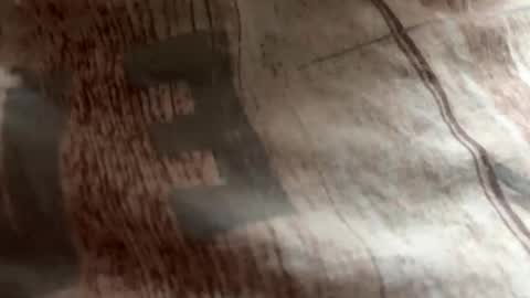 Zloy online show from 10-19-25, 08:37