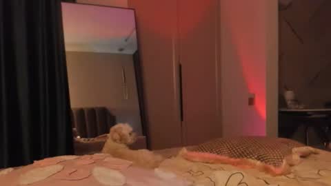 angel_andreww online show from 05-27-26, 06:16