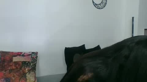  Angela  online show from 03-11-25, 02:32