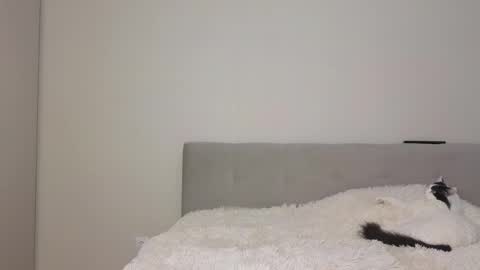 Angel online show from 04-24-26, 03:42