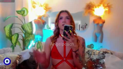 Snapshot of angelpeach_ chatting on 12-01-25, 12:54 Angel online show from 12-01-25, 12:54