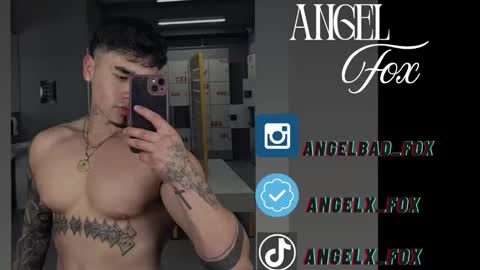 Snapshot of angelx_fox chatting on 09-17-25, 06:59 Angel Fox online show from 09-17-25, 06:59