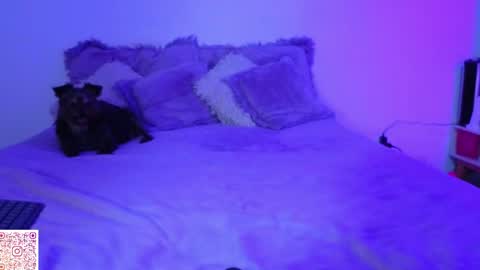 Angie Gomez  Onlyfans angie bigboobs FREE online show from 04-22-26, 11:28