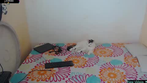 Angie y Andres online show from 01-20-25, 01:11