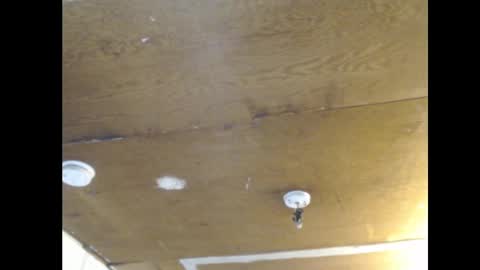 Snapshot of anilyseardor chatting on 02-25-25, 02:11 Ani online show from 02-25-25, 02:11