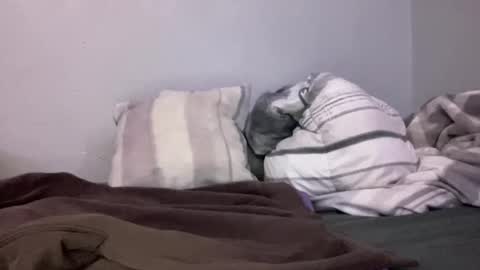 Snapshot of animeboygirls chatting on 01-10-25, 05:05 Animeboygirls online show from 01-10-25, 05:05