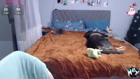 Snapshot of anna_ana chatting on 01-08-25, 06:41 Anadirectgirl online show from 01-08-25, 06:41