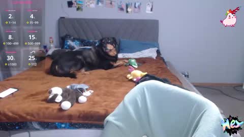 Snapshot of anna_ana chatting on 02-25-25, 07:03 Anadirectgirl online show from 02-25-25, 07:03