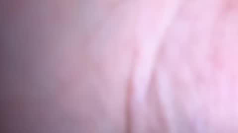 Snapshot of annaa__ chatting on 01-16-25, 02:41 annaa__ online show from 01-16-25, 02:41