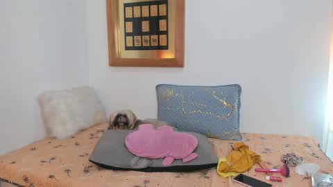 Snapshot of annavalente_ chatting on 02-26-25, 05:07 anna online show from 02-26-25, 05:07
