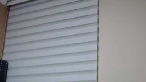       online show from 07-25-26, 12:42