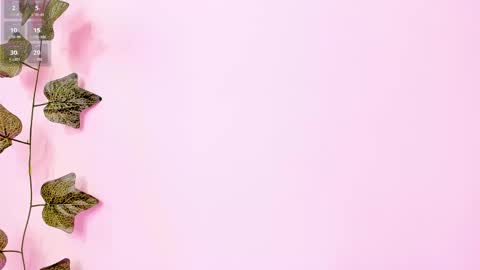 Anne online show from 02-02-25, 09:23