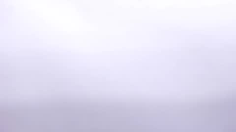 Annie online show from 02-02-25, 07:04