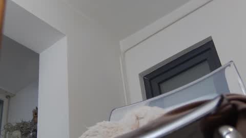 Anna online show from 12-02-24, 11:45