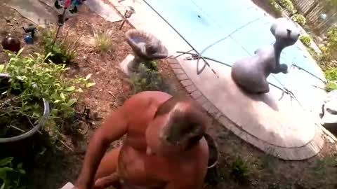 anoaklawnguy online show from 04-21-26, 06:55