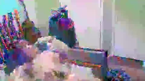 anssyboy696 online show from 10-11-25, 05:22