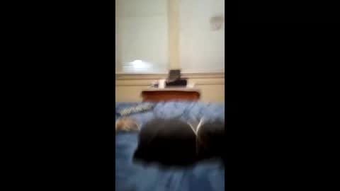 anthonymichael691973668762 online show from 03-03-26, 07:14