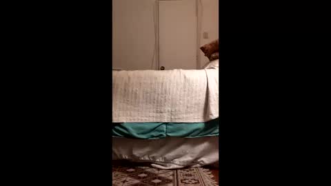 antonino85 online show from 03-19-26, 11:09