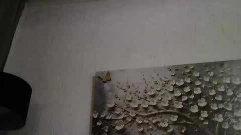 AnyBigTitts online show from 03-01-26, 04:42