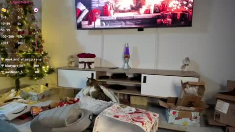 Anyi  Orion and Pyxis online show from 01-07-25, 03:24