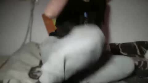 Snapshot of aphr0dite22 chatting on 01-06-26, 03:16 aphr0dite22 online show from 01-06-26, 03:16