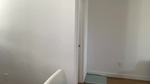 arabianprincess37 online show from 03-07-26, 06:27