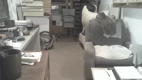 arealshowoff online show from 04-16-26, 03:24