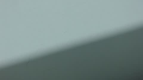 ...Ariana... online show from 10-20-25, 03:29