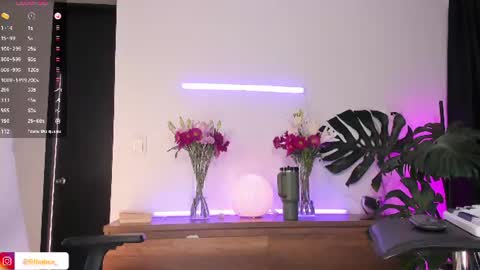 DaniAri - dimension X at night NY time online show from 07-09-26, 08:02