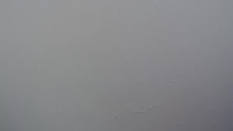 ariannaloovel online show from 04-11-26, 06:01