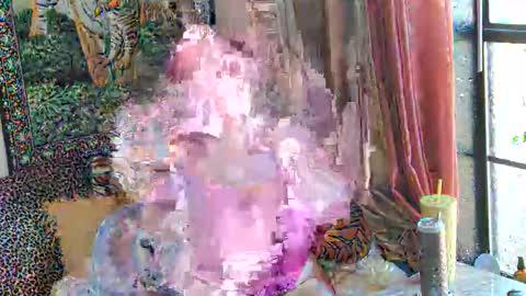 Arielle Ari online show from 02-06-26, 03:59