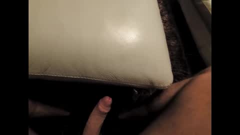 arnoldia343515 online show from 02-02-26, 09:35