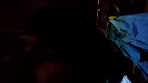 arvy95198 online show from 10-12-25, 11:15