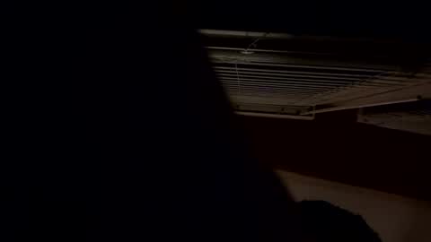 ashlynnblackx online show from 04-21-26, 04:41