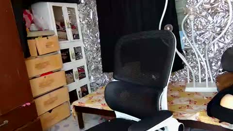 Trish online show from 12-03-25, 11:08