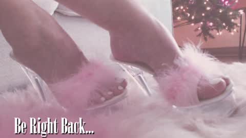 ASSleigh Abbott online show from 12-17-24, 07:48