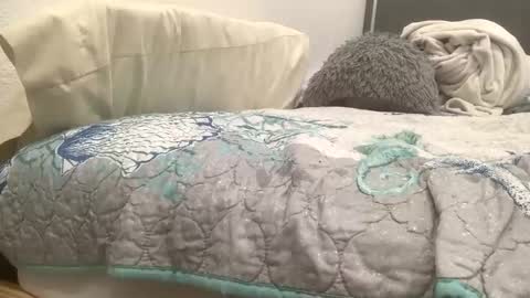 astrologyboy online show from 04-22-26, 02:36