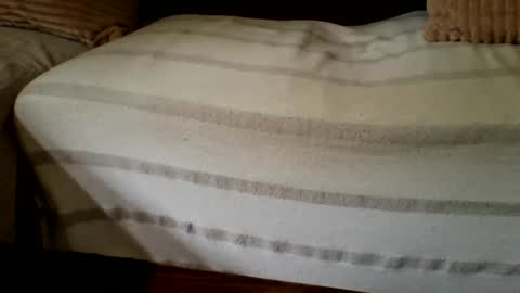 The Atypical Fit Cat online show from 04-27-26, 11:03