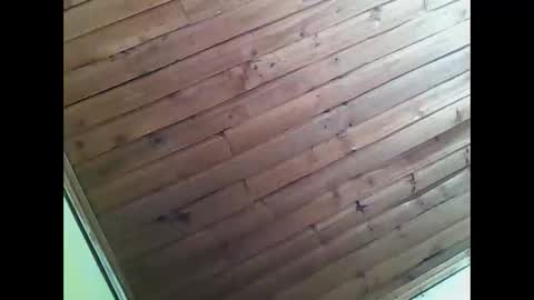 Snapshot of audrey468570 chatting on 03-06-26, 02:02 audrey468570 online show from 03-06-26, 02:02