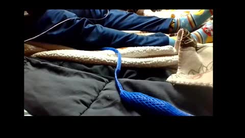 Senior Agua online show from 12-04-24, 04:38