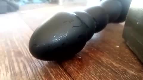 auzzieguy33 online show from 09-28-25, 05:02