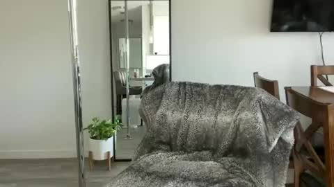 Little Ava  online show from 04-15-26, 07:58