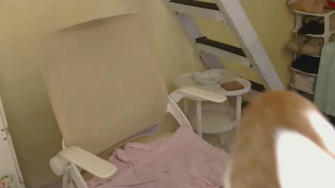 Rhian online show from 02-16-26, 03:24